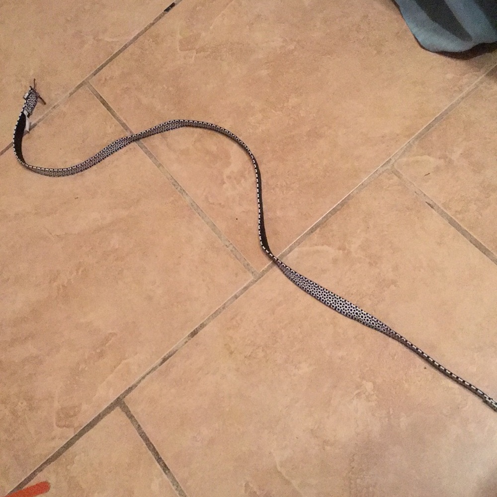 Belt